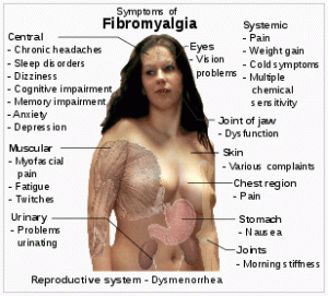 fibromyalgia_symptoms.136175558_std